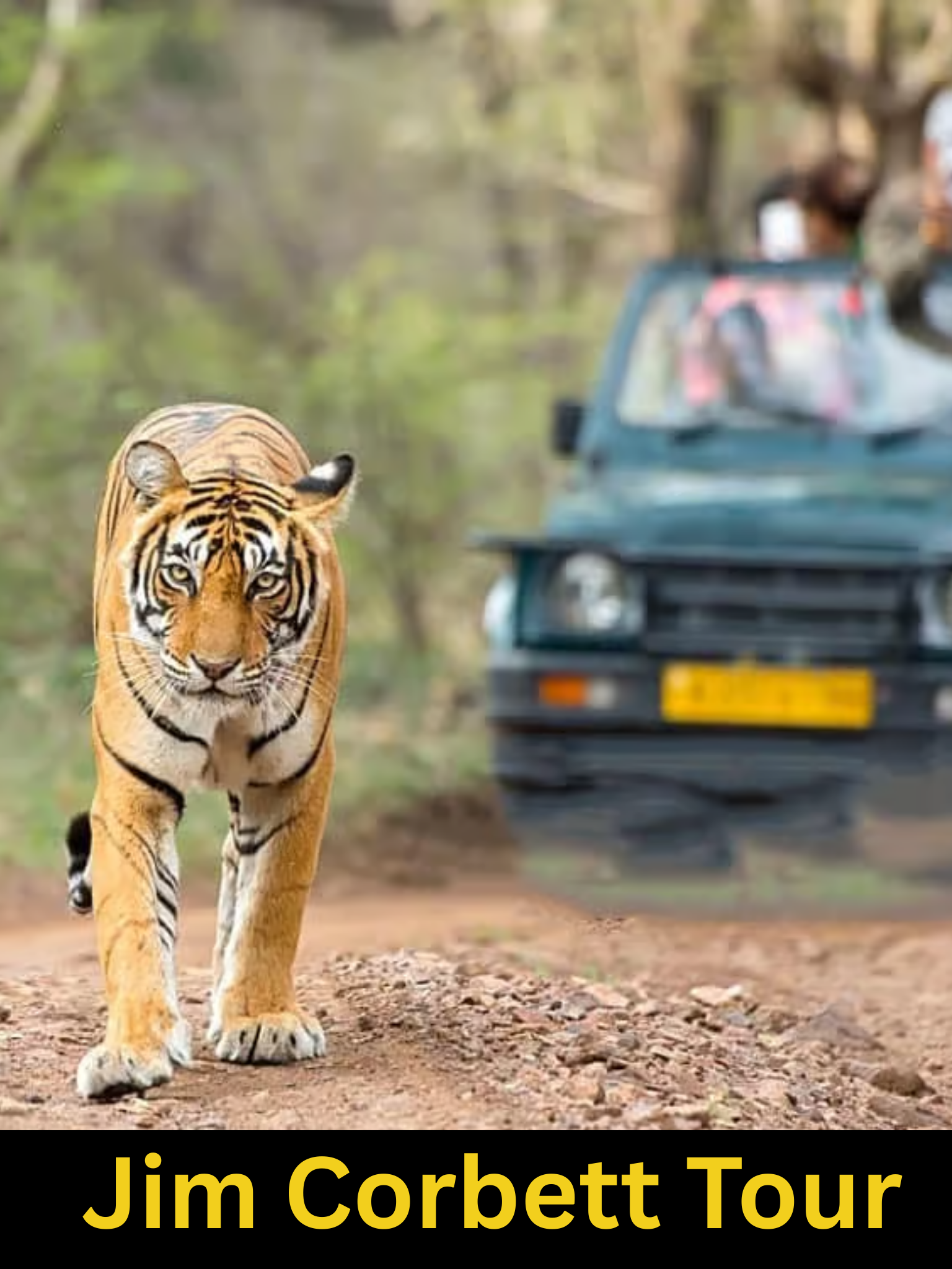 jim corbett
