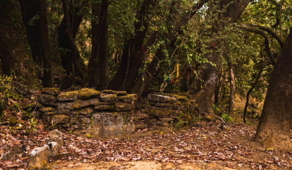 hidden trekking trails Uttarakhand — Hidden Trekking Trails Uttarakhand: 12 Ultimate Adventures — Photo by miheer tewari on Pexels